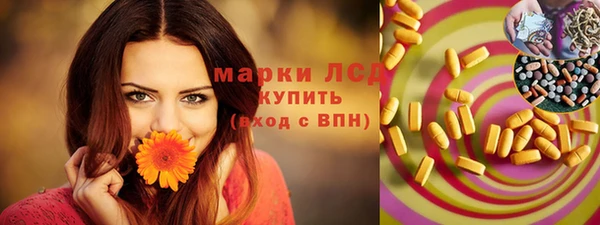индика Алзамай
