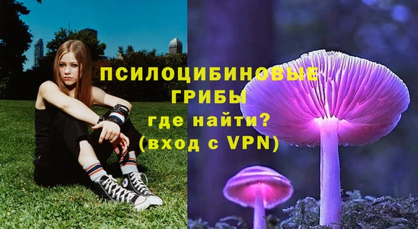 соль ск Алексеевка