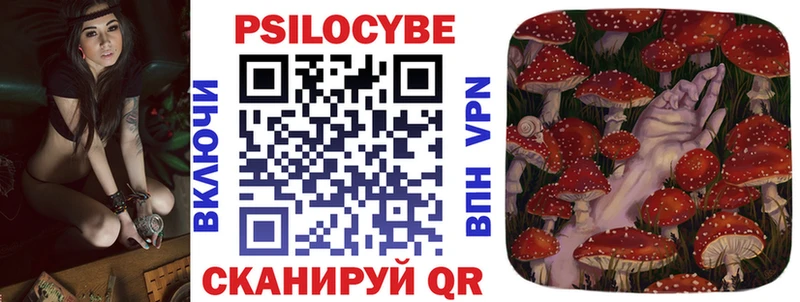 ОМГ ОМГ зеркало  Стародуб  Псилоцибиновые грибы Psilocybine cubensis 